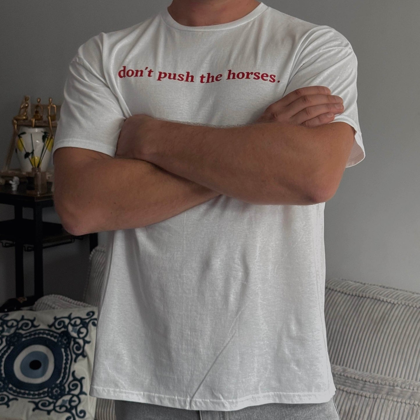 Men T-shirt 'Don't push the horses'